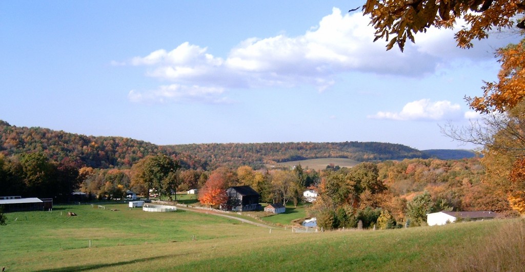 Different Ways Of Leaf-peeping In Garrett County 