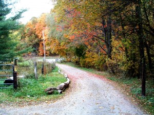 Fall Road